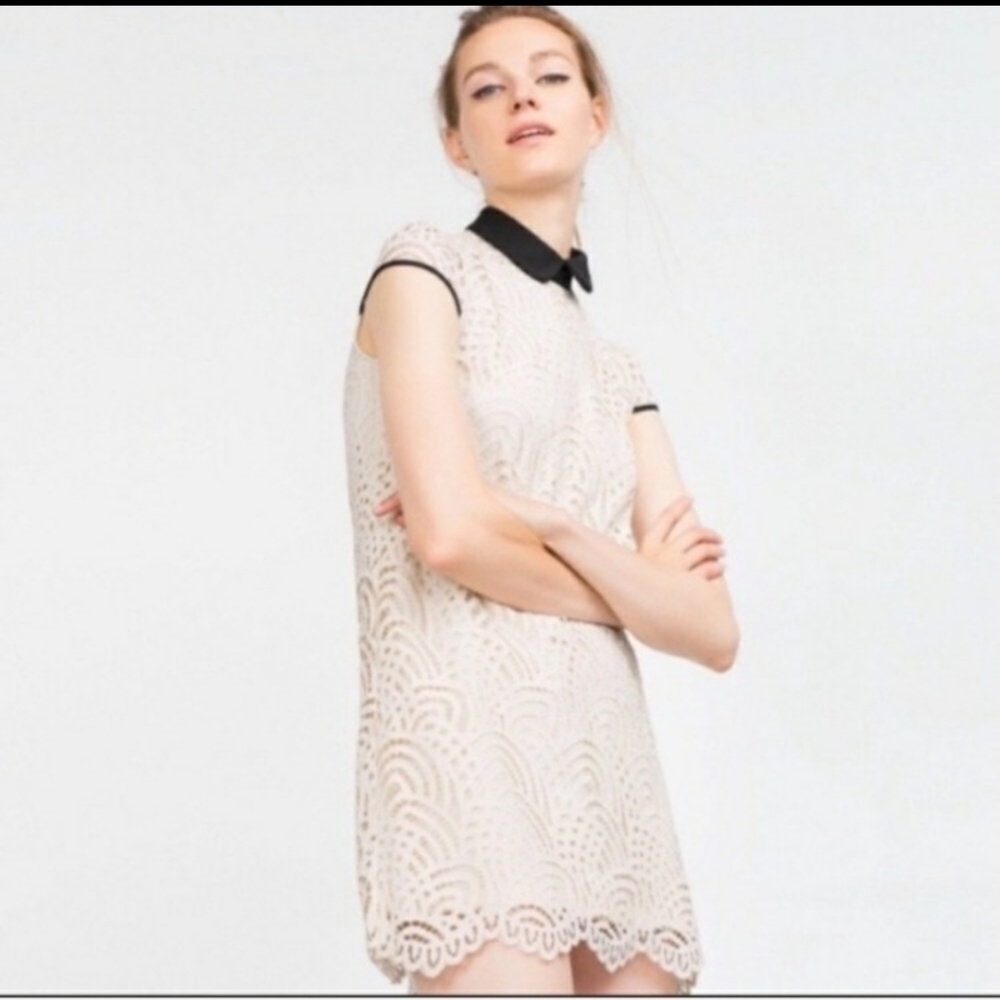 Zara Ecru Guipure Lace Peter Pan Collar Dress